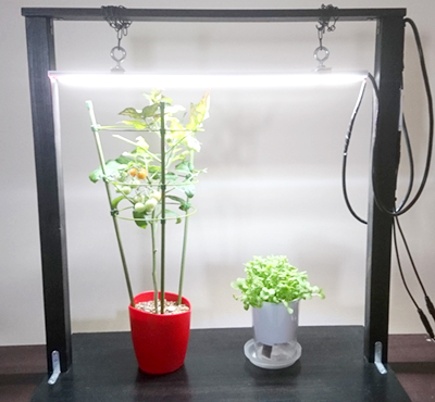植物育成用LED照明