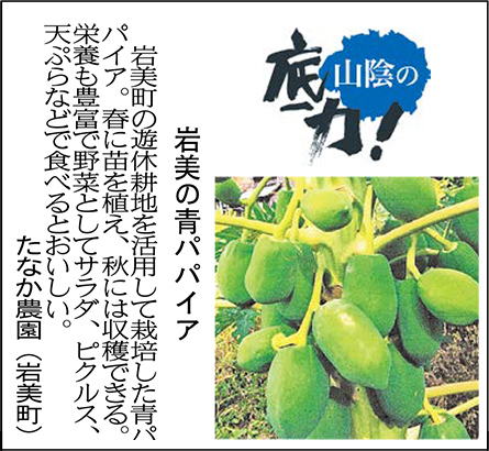 岩美の青パパイヤ