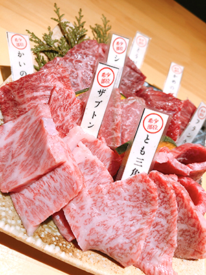 鳥取和牛希少部位7種盛