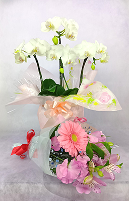 緑ケ丘のお花屋さん