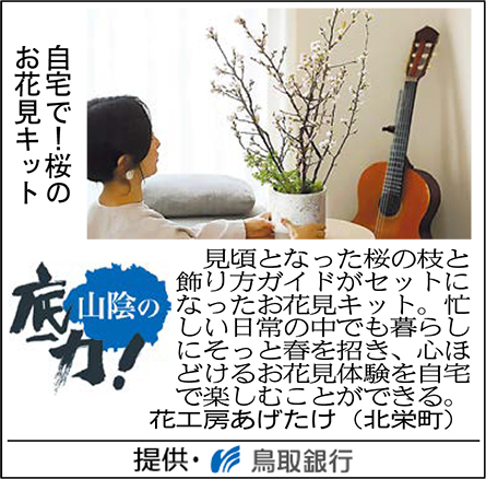 自宅で！桜のお花見キット