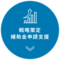 戦略策定補助金申請支援