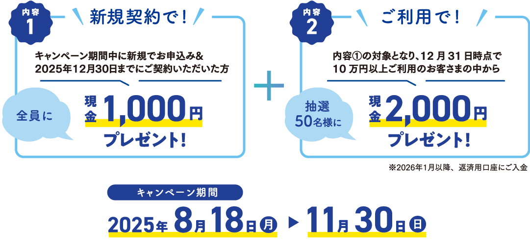 内容、キャンペーン期間