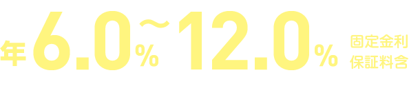固定金利年6.0%〜年12.0%（保証料含む）